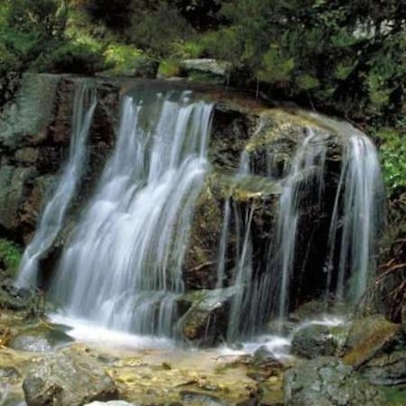 La Candela Cercedilla Ngoại thất bức ảnh